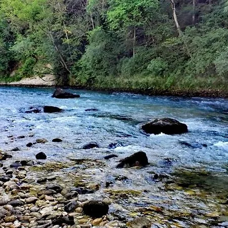 Camper Parking By The River - Empty Lots Camping
